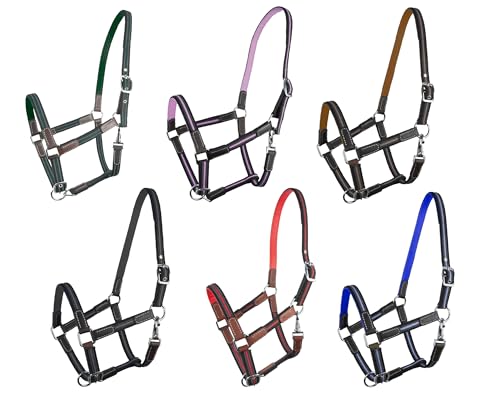 Brama West Halfter Pferd Ruby | 2-Fach verstellbar mit Ledereinsätzen | Weidehalfter Stallhalfter | in Überraschungsfarben – Größe & Menge wählbar (Pony, 2er Pack) von Brama West