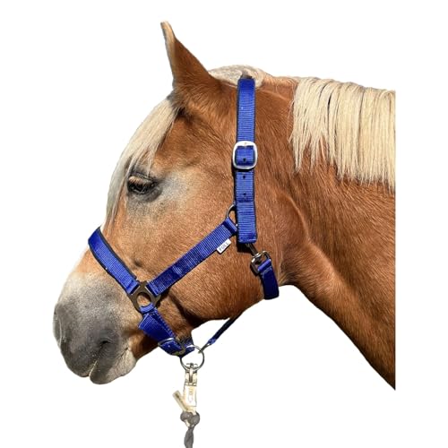 Brama West Halfter Pferd - Weidehalfter aus Nylon gepolstert - Stallhelfter verstellbar - in 3 Farben (Blau, Full) von Brama West