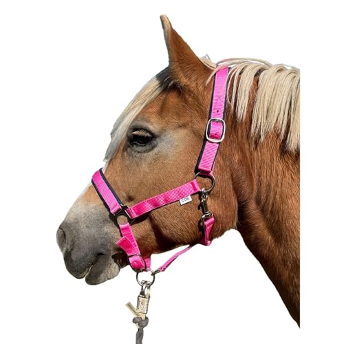 Brama West Halfter Pferd - Weidehalfter aus Nylon gepolstert - Stallhelfter verstellbar - in 3 Farben (Pink, Pony) von Brama West