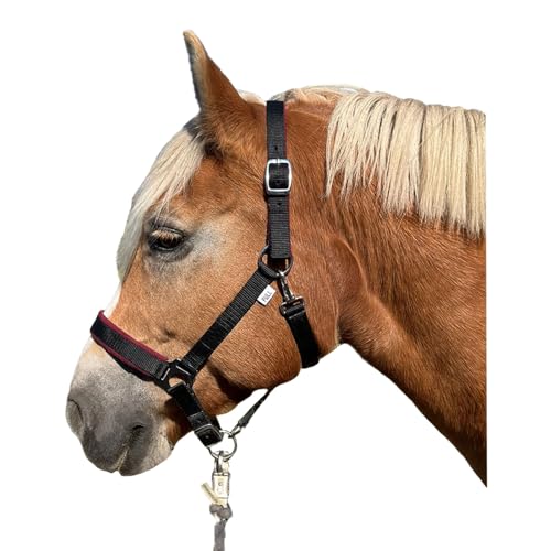 Brama West Halfter Pferd - Weidehalfter aus Nylon gepolstert - Stallhelfter verstellbar - in 3 Farben (Schwarz, Full) von Brama West