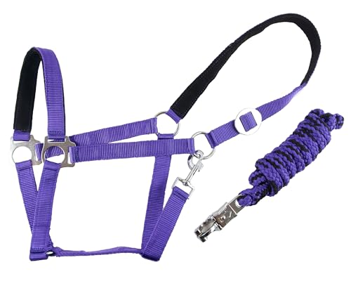 Brama West Halfter Set Pferd Lilo - Halfter & Strick - weich unterlegt - Lila, Gr. XFull Brama West Halfter Set Pferd Lilo - Halfter & Strick - weich unterlegt - Lila, Gr. XFull von Brama West