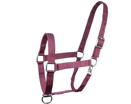 Brama West Halfter für Pferde Kaltblut | Halfter XFull XXFul XXXFull | sehr robust & reisfest | verstellbar | Stallhalfter | Weinrot, XXXFull von Brama West