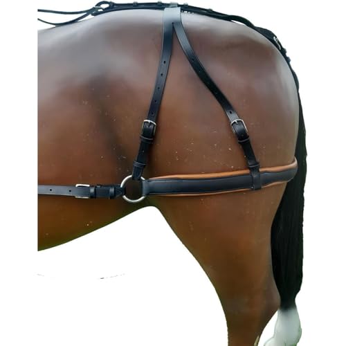 Brama West Hintergeschirr Pferd | für Einspänner- und Zweispännergeschirre | aus hochwertigem Leder (Schwarz/Braun, Cob) von Brama West