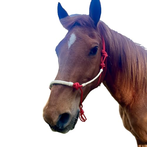 Brama West Knotenhalfter Pferd Smart Control mit Rohhautüberzug Pferdehalfter (Rot, Cob) von Brama West