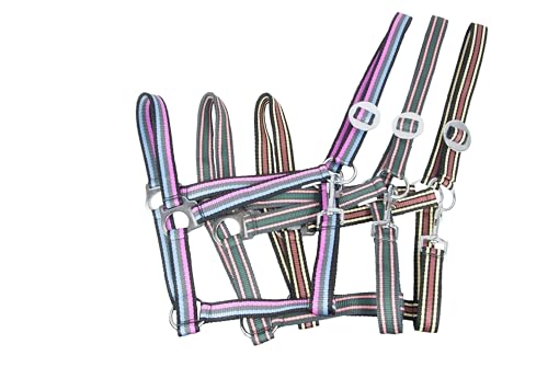 Brama West Nylonhalfter Pferdehalfter verstellbar einfach in 3er Packung - Gr. Shetty Brama West Nylonhalfter Pferdehalfter verstellbar einfach in 3er Packung - Gr. Shetty von Brama West