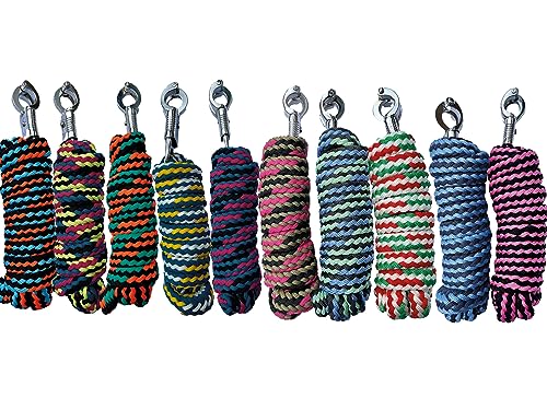 Brama-West Pferde Führstricke Überraschungsbox 10 Stück - für Pferde, Ponys, Shetty - Anbindestrick mit Panikhaken - Länge 2m - Bunte Farbmischung Brama-West Pferde Führstricke Überraschungsbox 10 Stück - für Pferde, Ponys, Shetty - Anbindestrick mit Panikhaken - Länge 2m - Bunte Farbmischung von Brama West