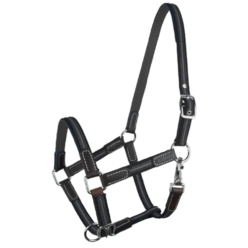 Brama West Pferderhalfter Ruby - 2 Fach verstellbar - mit Leder - Weidehalfter - Grau - Gr. Cob Brama West Pferderhalfter Ruby - 2 Fach verstellbar - mit Leder - Weidehalfter - Grau - Gr. Cob von Brama West