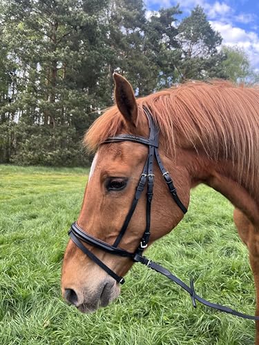 Brama West Ledertrense Pferd Sparkle - englisch kombiniert - Reithalfter mit Antislip Zügel und Strasssteinen - Braun, Gr. Pony von Brama West