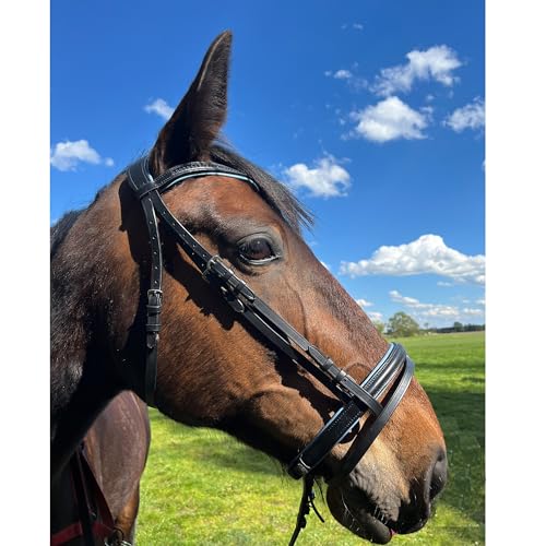 Brama West Ledertrense Pferd Sparkle - englisch kombiniert - Reithalfter mit Antislip Zügel und Strasssteinen - Hellblau, Gr. Minishetty von Brama West
