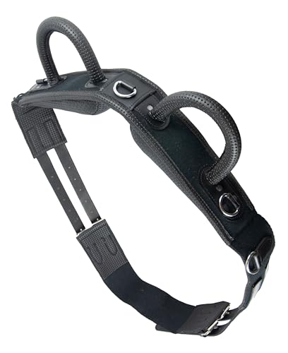 Brama West Voltigiergurt Reitgurt mit Zwei Griffen aus Leder - geeignet auch als Longiergurt - Gr. Full von Brama West