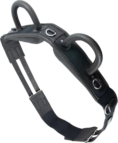 Brama West Voltigiergurt Reitgurt mit Zwei Griffen aus Neopren - geeignet auch als Longiergurt (XFull) von Brama West