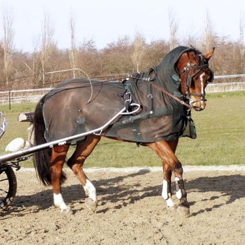 Brama West Fahrfliegendecke mit Halsteil für Fahrpferde - mit Öffnungen für das Fahrgeschirr - Pferdedecke - Grün, Gr. 145 von Brama West