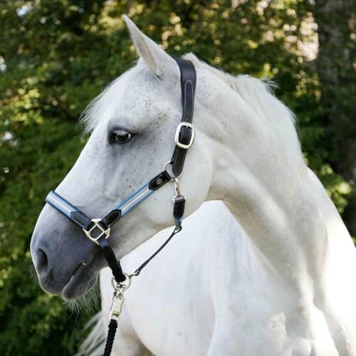 Pferde Halfter Bellano Covalliero - Leder Halfter in Allen Größen - Blau/Grau - Gr. Pony von Brama West