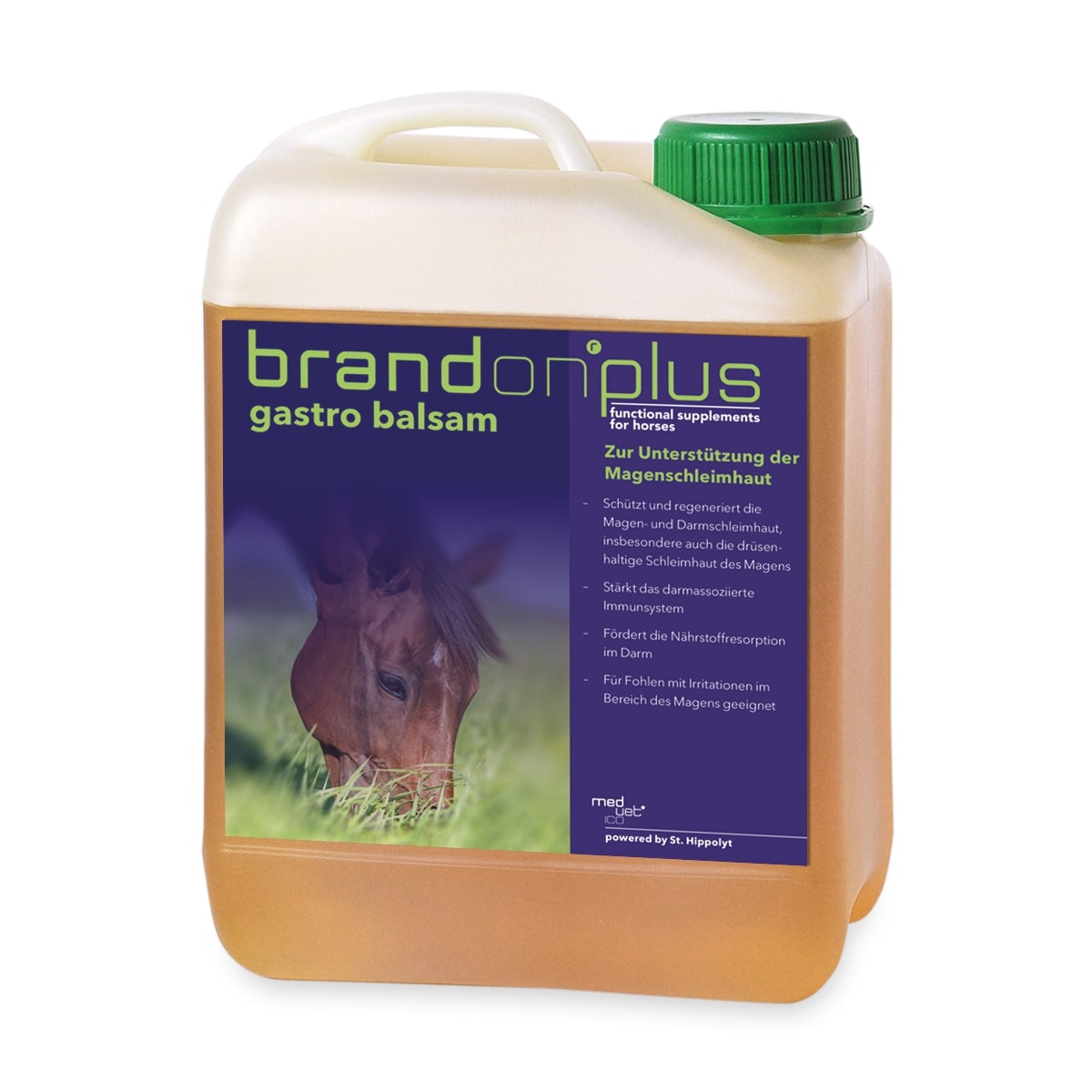 BrandOn Plus GastroBalsam 2,5 L Magen-Darmschleimhaut Balsam BrandOn Plus GastroBalsam 2,5 L Magen-Darmschleimhaut Balsam von BrandOn Plus