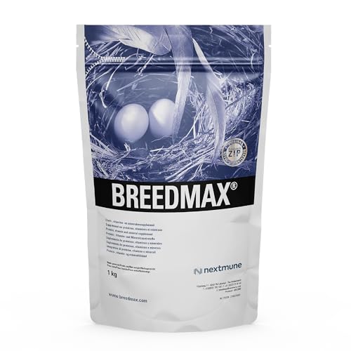 Breedmax Vogelfutter-Ergänzung für Zuchtvögel – Fruchtbarkeits- & Eifutterzusatz für Papageien, Kanarienvögel, Finken, Wellensittiche – Eiweißreich, Vitamine, Aminosäuren – 1000g von Breedmax