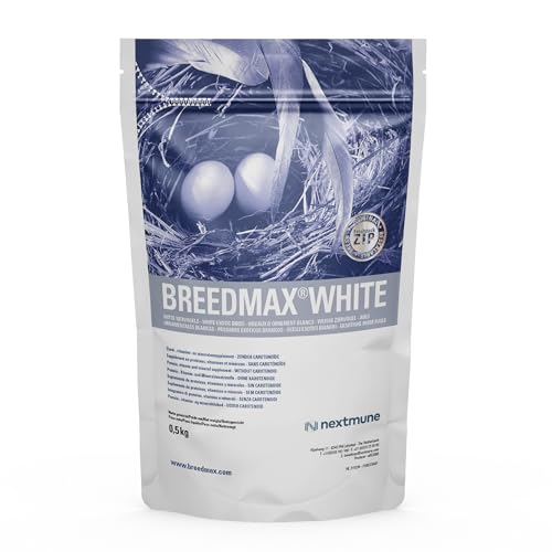 Breedmax White Vogelfutter-Ergänzung für Zuchtvögel – Fruchtbarkeits- & Eifutterzusatz für Papageien, Kanarienvögel, Finken, Wellensittiche – Eiweißreich, Vitamine, Aminosäuren – 500g von Breedmax