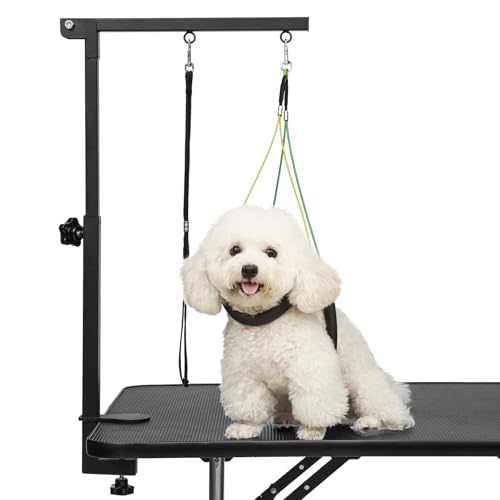 Breeze Touch Fellpflegetisch für Hunde mit Klemme, 81,3 cm, Haustier-Pflegetisch für kleine Hunde zu Hause, faltbar, Katzen- und Hundepflege-Geschirr, Ständer, tragbar, zum Trimmen von Nägeln, Breeze Touch Fellpflegetisch für Hunde mit Klemme, 81,3 cm, Haustier-Pflegetisch für kleine Hunde zu Hause, faltbar, Katzen- und Hundepflege-Geschirr, Ständer, tragbar, zum Trimmen von Nägeln, von Breeze Touch