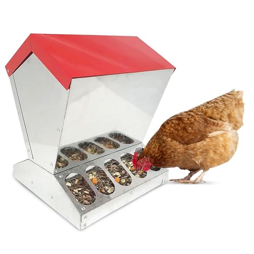 Breker Futterautomat Hühner 15KG [mit 10 FRESSSTELLEN] aus Metall - Futterspender für Hühner, Enten & Meerschweinchen - mit komfortablem Klappdeckel - Futterstation für Hühnerstall & Kleintiergehege von Breker