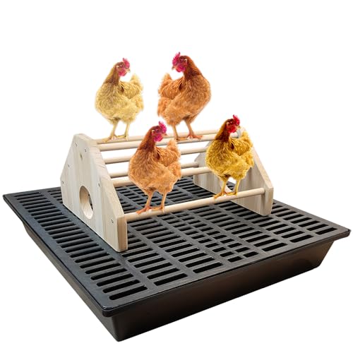 Sitzstange für Hühner - Komplettset - Pro - für mehrere Hühner - 60 x 60 cm von Breker