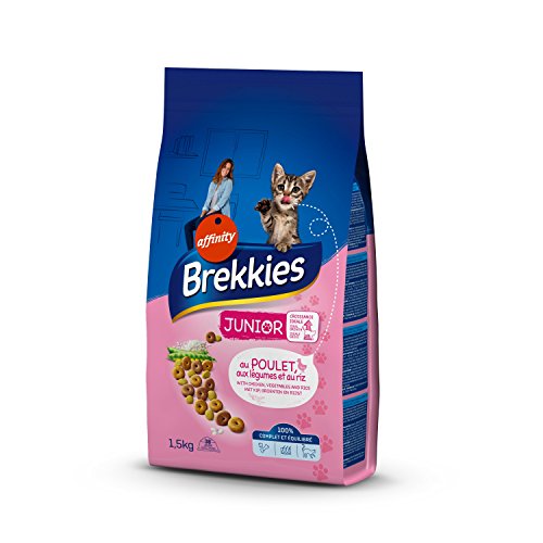 Brekkies Excel Trockenfutter für Katzen, Junior (1-12 Monate) Huhn, Gemüse und Reis, 1,5 kg, 6 Stück von Brekkies