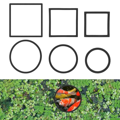 6 Stück Fischfütterungsringe Set Schwimmende Aquariumpflanze Korral, Oval und Quadrat Fisch Fütterungsringe Schwimmender Pflanzenring Aquarium Futterring Zubehör für Betta Aquarium (Schwarz) von Bremorou