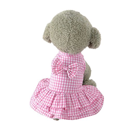 Brensty Niedlichen SüßEn Kleinen Hund Kleidung Kurzen Rock Kleid Haustier Hund Bekleidung (S, Pink) von Brensty