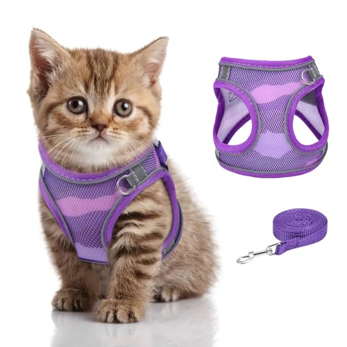 Brifit Katzengeschirr Ausbruchsicher, Katzengeschirr Katzenleine Geschirr für Katzen, Verstellbar Katze Brustgeschirr mit Reflektierend Streifen & Atmungsaktiv Netzgewebe, für Katzen Kitten Welpen Brifit Katzengeschirr Ausbruchsicher, Katzengeschirr Katzenleine Geschirr für Katzen, Verstellbar Katze Brustgeschirr mit Reflektierend Streifen & Atmungsaktiv Netzgewebe, für Katzen Kitten Welpen von Brifit