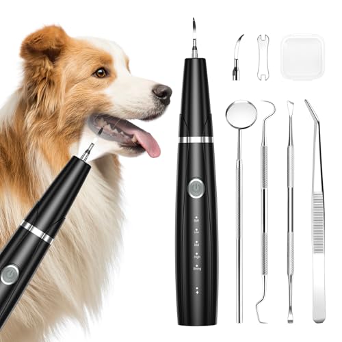 Brifit Ultraschall-Zahnreinigungsgerät für Hunde und Katzen – Wasserdichtes Haustier-Zahnpflegeset mit 5 Modi, 2 Aufsätzen & LED-Licht von Brifit