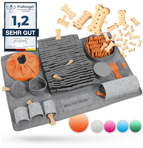Briliantwerk® Schnüffelteppich Hund – Extrem widerstandsfähiges Material - 10 Trainingselemente und 3 Schwierigkeitsstufen – Das Intelligenzspielzeug für Hunde jeder Größe (Orange) von Briliantwerk