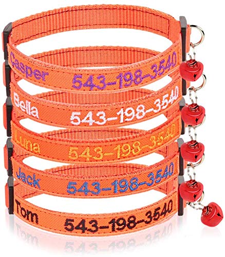Personalisierte Katzenhalsbänder mit Glocke, benutzerdefinierte Sicherheitsschnalle für Katzenhalsbänder, gestickter ID-Name am Kätzchenhalsband mit Glocke (Orange) von Brillianne