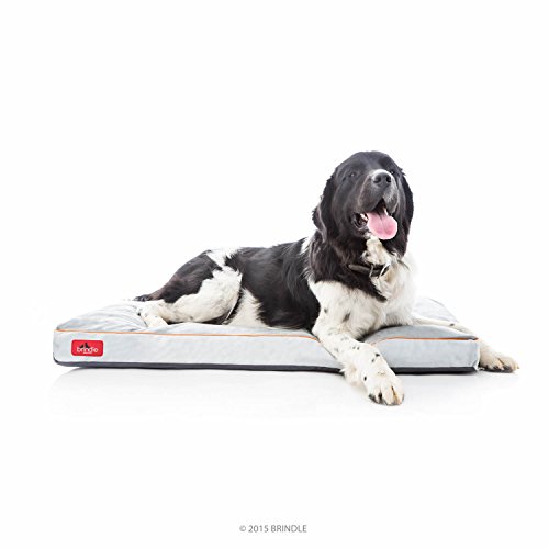 Brindle, Steingraues Haustierbett aus zerkleinertem Memory-Schaum, Haustier-Essentials, orthopädisches Design, kompatibel mit Hundeboxen, waschbarer Bezug, Indoor-Haustierbett für Hunde, Welpen, Brindle, Steingraues Haustierbett aus zerkleinertem Memory-Schaum, Haustier-Essentials, orthopädisches Design, kompatibel mit Hundeboxen, waschbarer Bezug, Indoor-Haustierbett für Hunde, Welpen, von Brindle