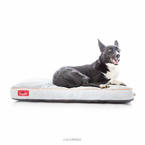 Brindle, Steingraues Haustierbett aus zerkleinertem Memory-Schaum, Haustier-Essentials, orthopädisches Design, kompatibel mit Hundeboxen, waschbarer Bezug, Indoor-Haustierbett für Hunde, Welpen, Brindle, Steingraues Haustierbett aus zerkleinertem Memory-Schaum, Haustier-Essentials, orthopädisches Design, kompatibel mit Hundeboxen, waschbarer Bezug, Indoor-Haustierbett für Hunde, Welpen, von Brindle