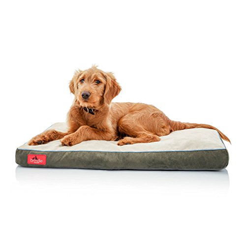 Brindle Haustierbett aus geschreddertem Memory-Schaum, orthopädisches Design, kompatibel mit Haustierkäfigen, maschinenwaschbarer Bezug, Haustierbett für Hunde, Welpen, Katzen und Kaninchen, Größe M, Brindle Haustierbett aus geschreddertem Memory-Schaum, orthopädisches Design, kompatibel mit Haustierkäfigen, maschinenwaschbarer Bezug, Haustierbett für Hunde, Welpen, Katzen und Kaninchen, Größe M, von Brindle