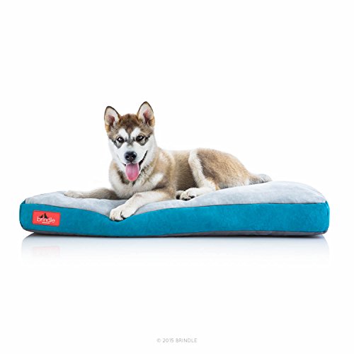 Brindle Hundebett aus geschreddertem Memory-Schaum, mit abnehmbarem waschbarem Bezug, orthopädisches Haustierbett, 101,6 x 66 cm, Blaugrün von Brindle