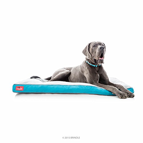 Brindle Hundebett aus geschreddertem Memory-Schaum mit abnehmbarem waschbarem Bezug, orthopädisches Haustierbett, 132,1 x 86,4 cm, Blaugrün von Brindle
