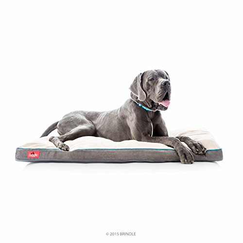 Brindle Hundebett aus geschreddertem Memory-Schaum mit abnehmbarem waschbarem Bezug, orthopädisches Haustierbett, 132,1 x 86,4 cm, Khaki von Brindle