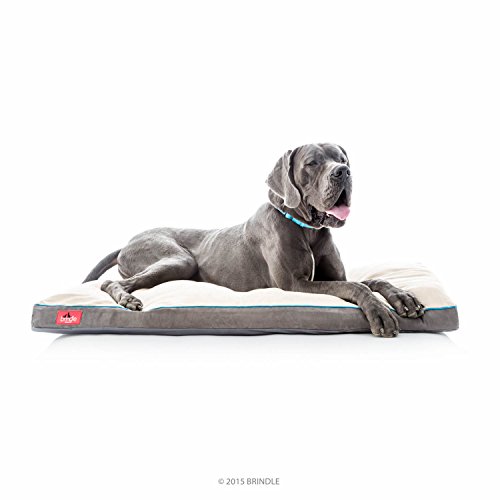 Brindle Hundebett aus geschreddertem Memory-Schaum mit abnehmbarem waschbarem Bezug, orthopädisches Haustierbett, 132,1 x 86,4 cm, Khaki Brindle Hundebett aus geschreddertem Memory-Schaum mit abnehmbarem waschbarem Bezug, orthopädisches Haustierbett, 132,1 x 86,4 cm, Khaki von Brindle