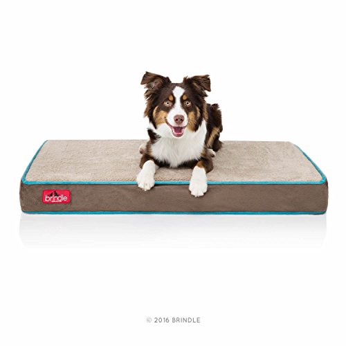 Brindle Wasserdichtes Haustierbett aus Memory-Schaum, Abnehmbarer und waschbarer Bezug, 10,2 cm, orthopädisches Hunde- und Katzenbett, passend für die meisten Kisten, Mokkablau Brindle Wasserdichtes Haustierbett aus Memory-Schaum, Abnehmbarer und waschbarer Bezug, 10,2 cm, orthopädisches Hunde- und Katzenbett, passend für die meisten Kisten, Mokkablau von Brindle