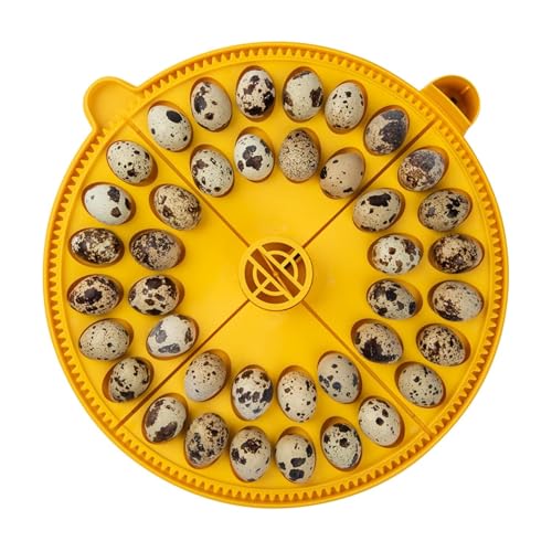 Brinsea Products Maxi Advance Inkubator, kleines Eierviertel, 40 Wachteleier, Gelb von Brinsea