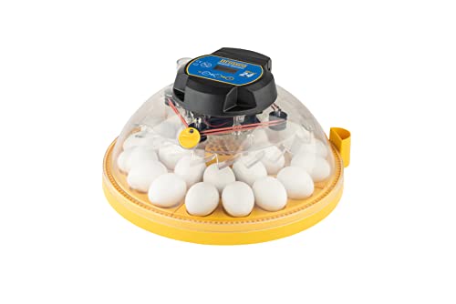 Maxi 24 Advance Automatischer Brutkasten für 24 Eier von Brinsea