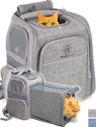 BriskTails Katzenrucksack – erweiterbarer Katzenrucksack, großer Reise-Wanderrucksack, Haustier-Rucksack, Fluggesellschaftsgenehmigt, perfekt für Katzen, Kätzchen, Kätzchen-Rucksack – Grau BriskTails Katzenrucksack – erweiterbarer Katzenrucksack, großer Reise-Wanderrucksack, Haustier-Rucksack, Fluggesellschaftsgenehmigt, perfekt für Katzen, Kätzchen, Kätzchen-Rucksack – Grau von BriskTails