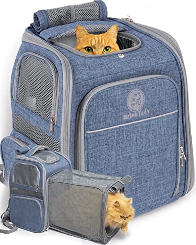 Erweiterbarer, atmungsaktiver Katzenrucksack für Bequeme, Lange Spaziergänge – von Kitty bis hin zu mittelgroßen Katzen, kleinen Hunden, Welpen und Anderen kleinen Haustieren bis zu 6,8 kg – Erweiterbarer, atmungsaktiver Katzenrucksack für Bequeme, Lange Spaziergänge – von Kitty bis hin zu mittelgroßen Katzen, kleinen Hunden, Welpen und Anderen kleinen Haustieren bis zu 6,8 kg – von BriskTails