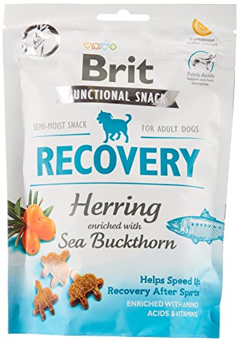 VAFO Praha s.r.o. BRIT Dog Snacks 150G Snack Recovery Thorn von Brit