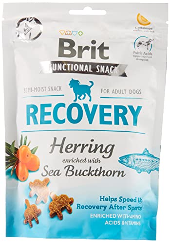 VAFO Praha s.r.o. BRIT Dog Snacks 150G Snack Recovery Thorn von Brit Care