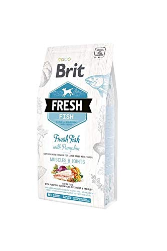Brit Fresh mit frischem Fisch für große Erwachsene Hunde, 1 Beutel von BURBERRY
