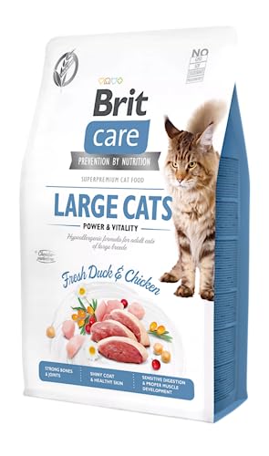 VAFO Praha s.r.o. Brit Care Katzenfutter für Katzen, groß, 2 kg, Power & Vitality GF von Brit