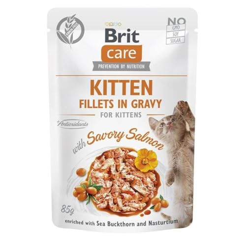 Brit Katzenfutter Care Cat Kitten Choice Lachs 85 g Brit Katzenfutter Care Cat Kitten Choice Lachs 85 g von Brit