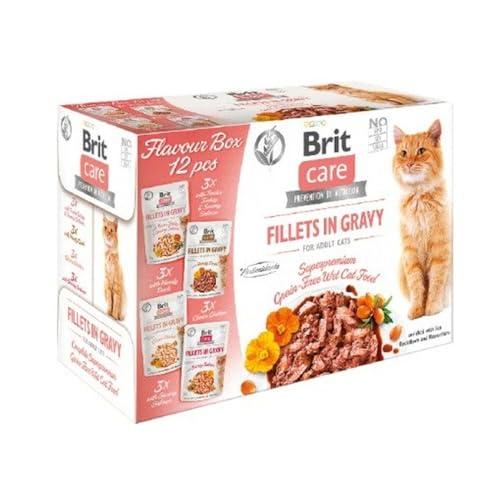 Brit Katzenfutter Huhn Lachs Türkei Ente 12 x 85g von Brit