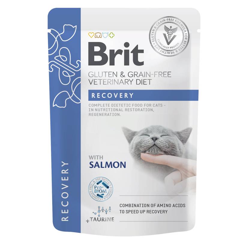 Brit Vet Diet Cat Fillets in Gravy Recovery 12x85 g von Brit