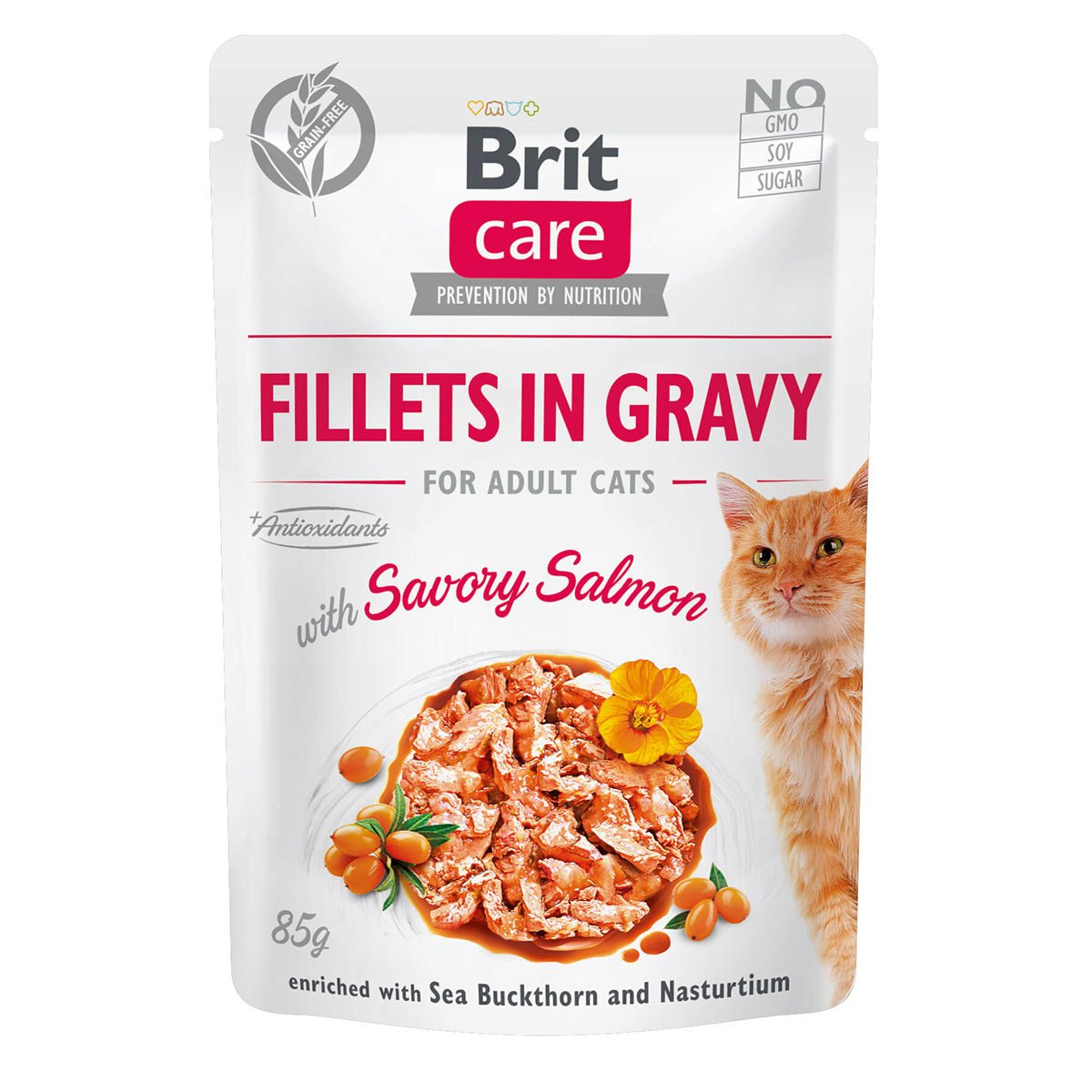 Brit Care Cat Fillets in Gravy with Savory Salmon 24x85g von Brit Care